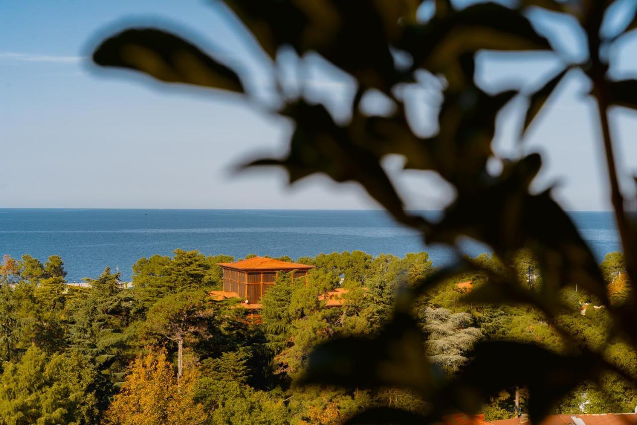 Tapis Rouge Design Boutique Hotel Batumi Exterior photo View of the Black Sea from the house of the writer, in Varvarovski, Varvarovski, Varvarovski, Varvarovski, Varvarovski, Varvarovski, Varvarovski, Varvarovski, Varvarovski, Varvarovski, Varvarovski, Varvarovski, Varvarovski, Varvarovski, Varvarovski, 